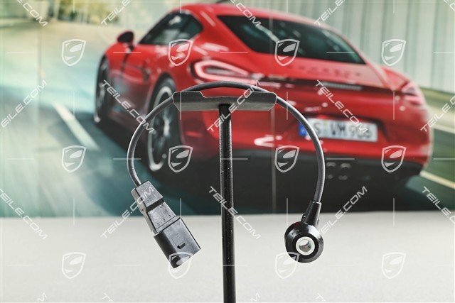 Knock sensor