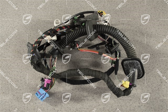 Wiring harness passenger's door assembly frame, Sound system ASK, L