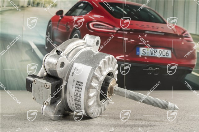Hydraulic mount, Turbo Coupe, Active Drivetrain Mount (PADM), R