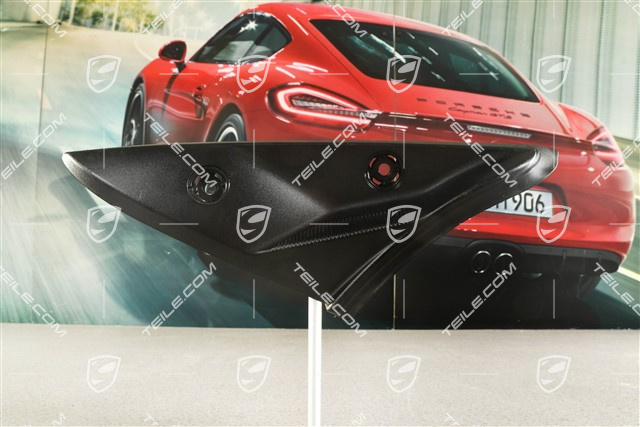 Tail light trim, R
