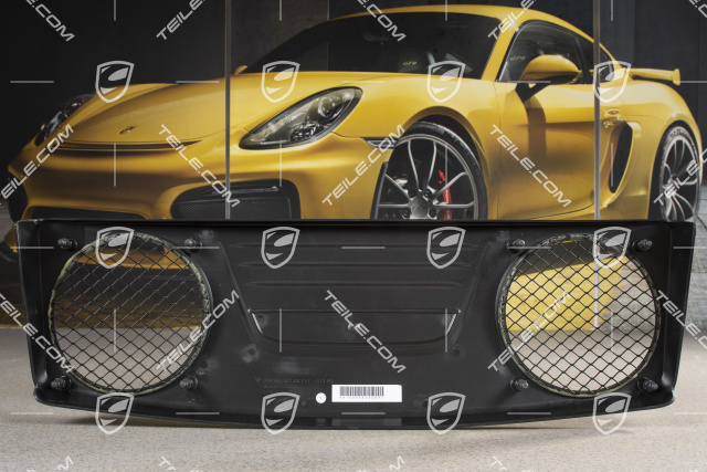 Engine compartment Cover panel, GT3RS 4.0