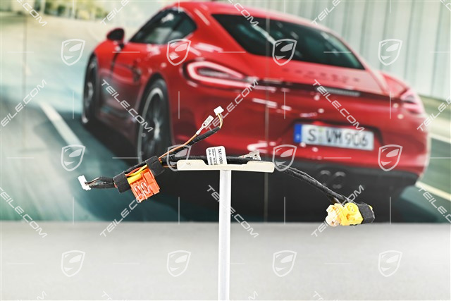 Wiring harness / Electric loom, steering wheel