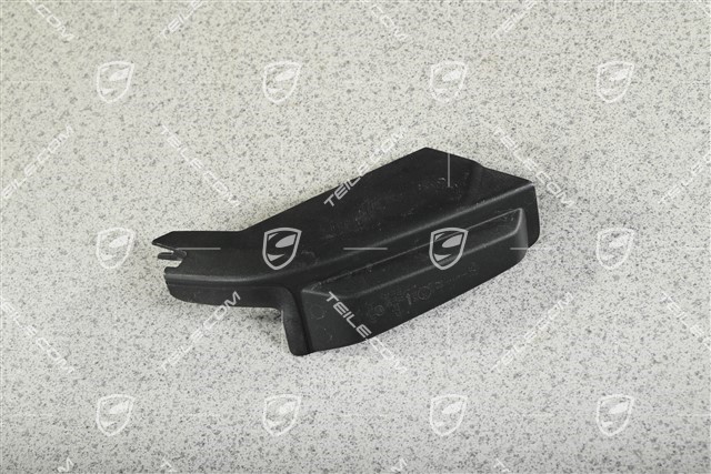 Tail light trim, R