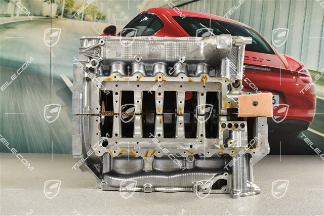 GT3RS Crankcase, A176