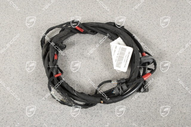 Quattroporte - Harness, PDC