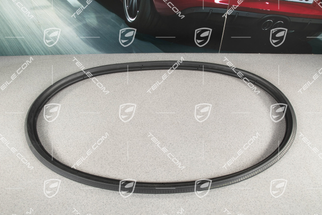 Front lid / trunk gasket / seal