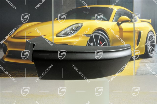 Bumper trim, R Bumper trim, R