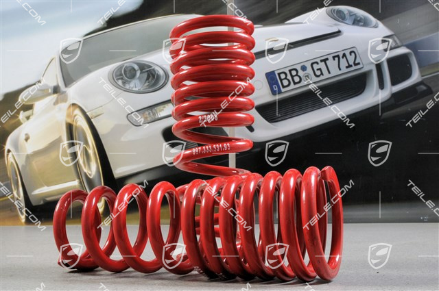 Schraubenfeder Satz (L+R), GT3, Kennzeichnung Rot Schraubenfeder Satz (L+R), GT3, Kennzeichnung Rot