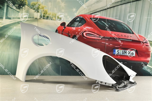 Fender/wing, 911R, R