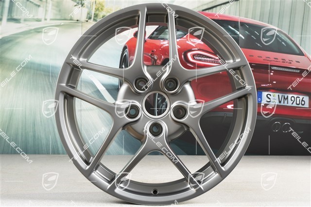 19-inch Carrera S II (Facelift) wheel set, 8J x 19 ET57 + 11J x 19 ET51, Platinum