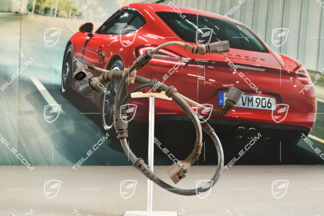 Wiring harness for ABS and brakes wear indicator, rear, L=R