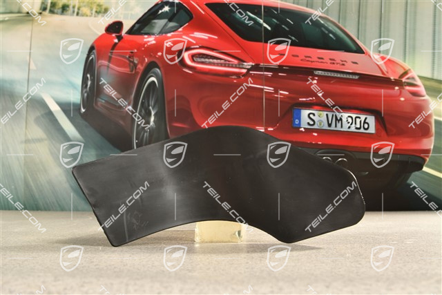 Control arm spoiler / Brake air deflector, R