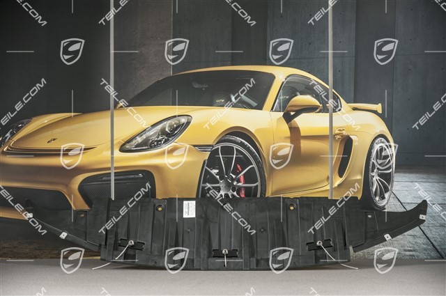 TEILE.COM | Unterbodenverkleidung, Abdeckung, vorn, GT2RS / Neu 