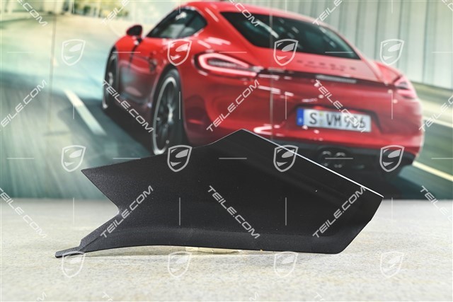 Heckleuchte Abdeckung, R