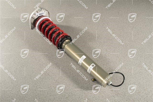 GT3 / R / Speedster, Shock absorber, front axle, PASM, Complete