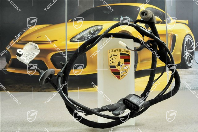 Wiring harness and windscreen washer hose Wiring harness and windscreen washer hose