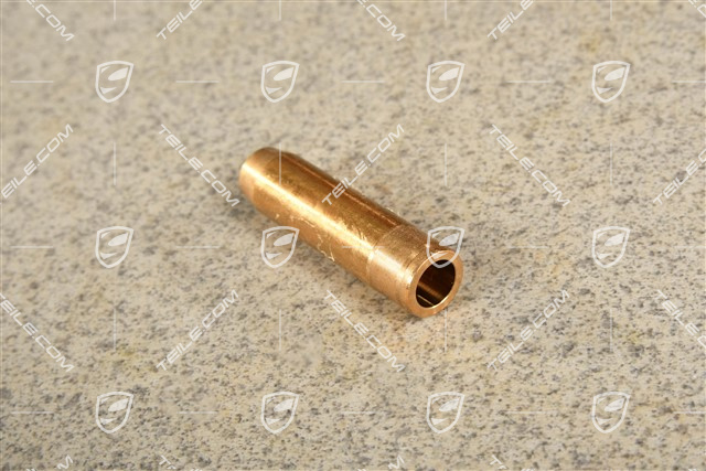 Valve guide