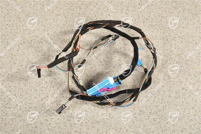 Wiring harness, door harness, Passengers door, R