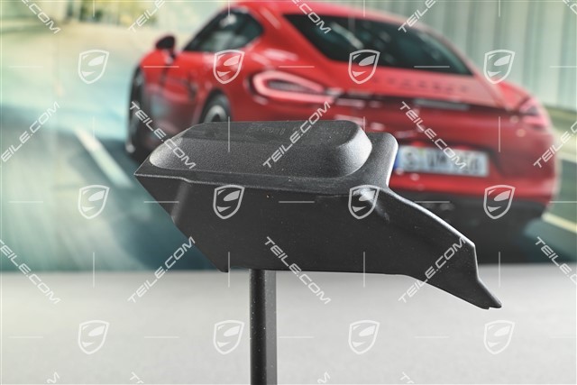Tail light trim, R