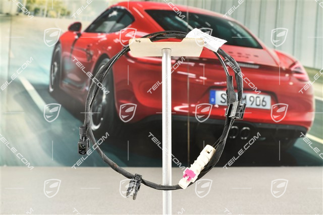 Wiring harness for Real Top View camera, front
