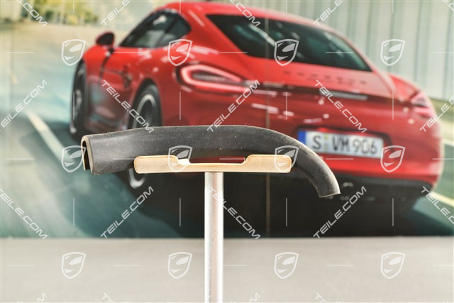 Rear door trim / protective moulding seal, L