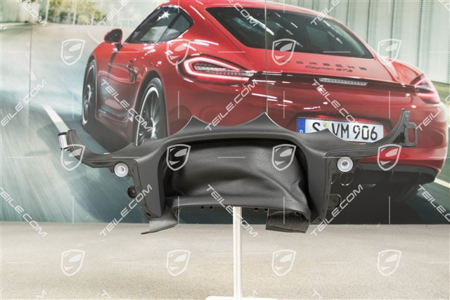 Cover, Instrument cluster, Black, LL