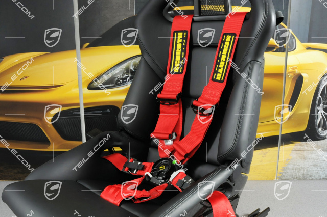 Schroth Profi 3x2 - 6 point seatbelts