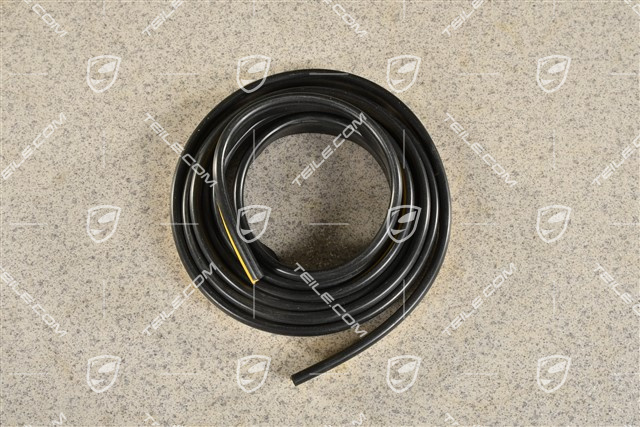 Windshield gasket