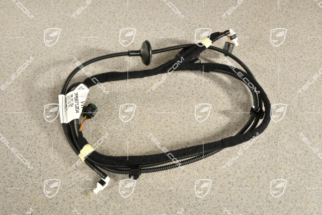 Wiring harness for heated windscreen washer noozle with hose