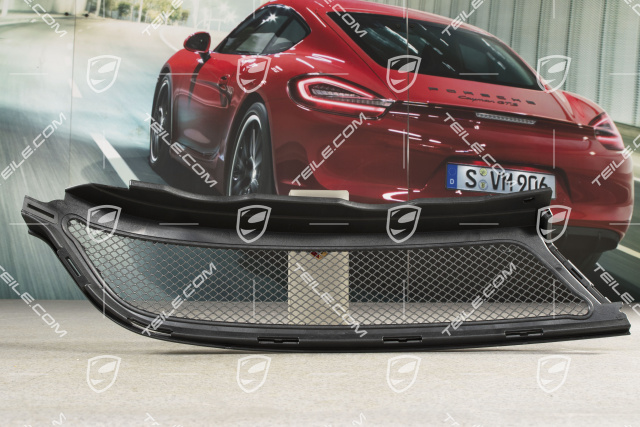 GT3RS Schutzgitter, L