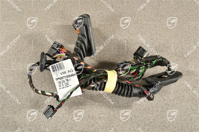 Wiring harness rear door assembly frame, Bose, L=R