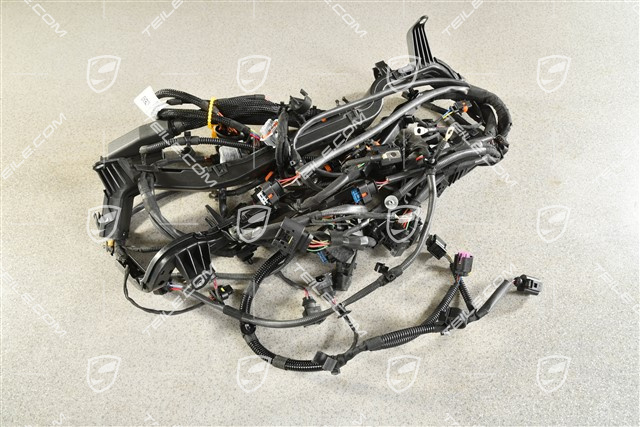 Kabelstrang für Motor, Turbo mit PASM