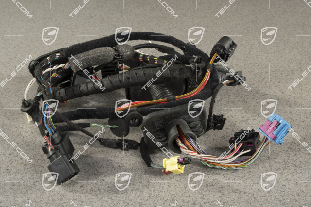 Wiring harness Drivers door assembly frame, power windows, basic sound package, L