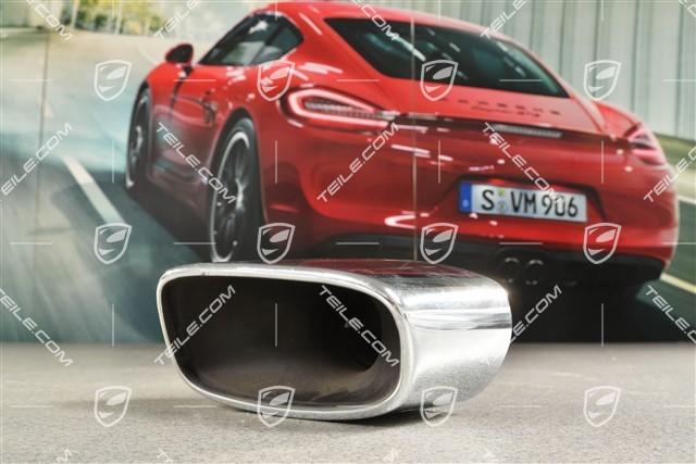 Tail pipe, stainless steel tailpipes, 3.6L 239KW, R