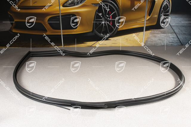 Weatherstrip, door, innen, Coupe, L