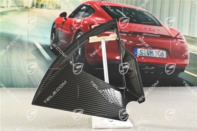 21" Taycan Exclusive Design forged wheels carbon aeroblade, rear, R
