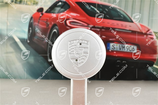 Hub cap, silver painted, for internal diameter 71mm