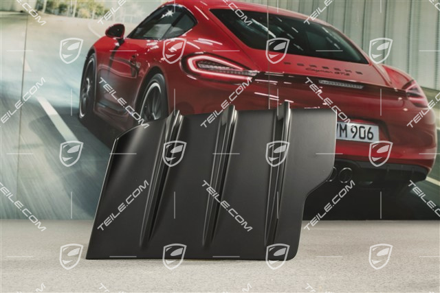 GT3, Engine cover, R