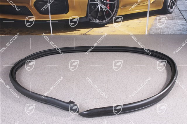 Door / Chassis seal gasket, inner, Cabrio, R