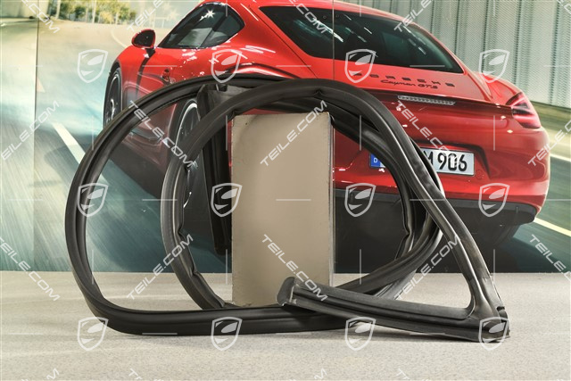 Dichtung, Targa