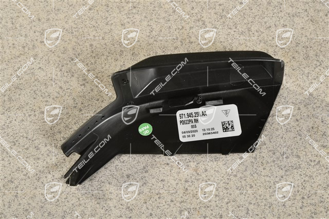 Tail light trim, R
