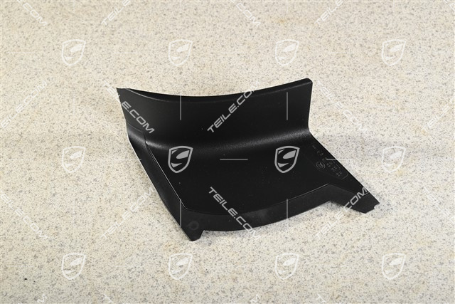 Rear light cover, outer, L
