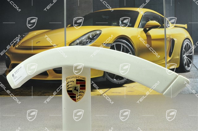 Wheel cover, door rear, Lacquered, R Wheel cover, door rear, Lacquered, R
