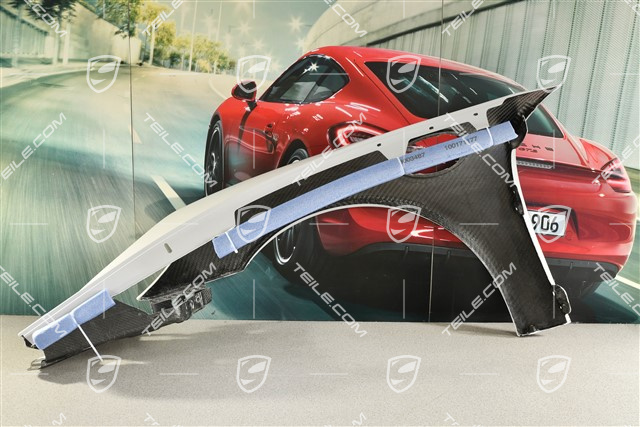 Fender/wing, 911R, R