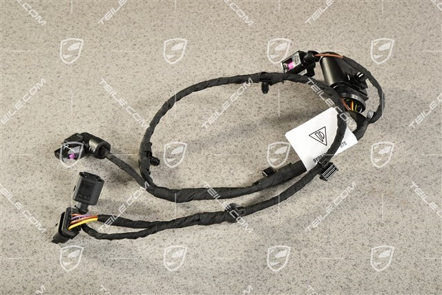 Front bumper Wiring harness / Electric loom, R