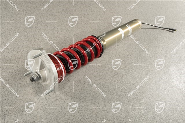 GT3 / R / Speedster, Shock absorber, front axle, PASM, Complete