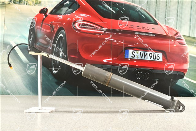 Stossdämpfer, Elektr. Dämpferregelung PASM / PASM ohne Tieferegelung, L=R