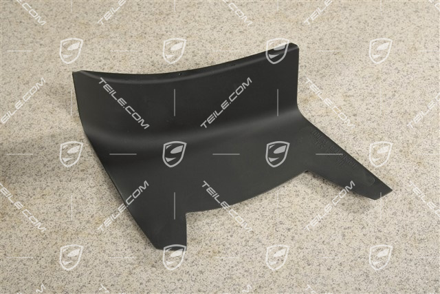 Rear light cover, outer, L