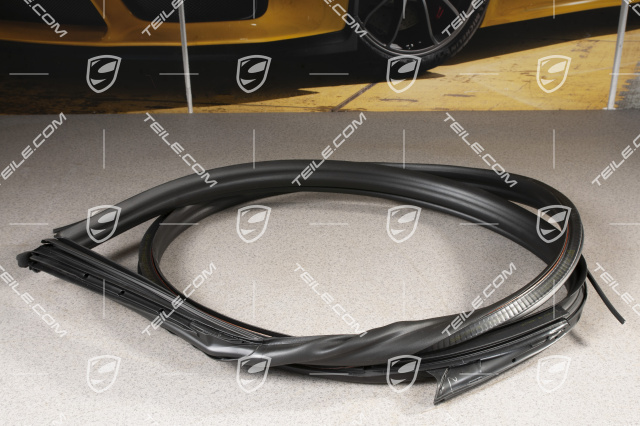 Weatherstrip, door, innen, Coupe, L