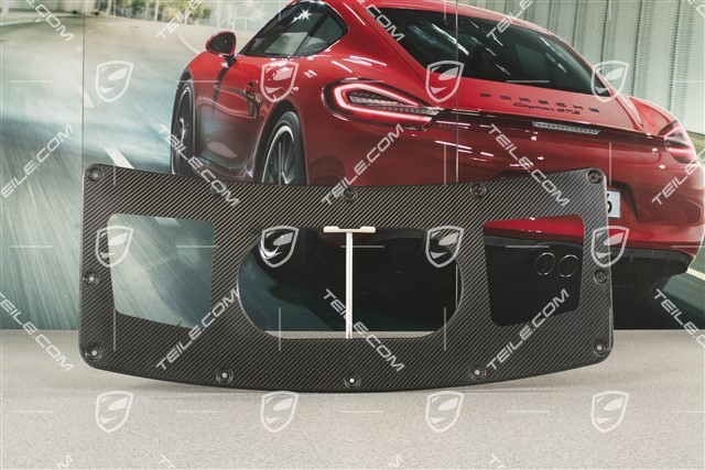 991.2 GT3 Innenschale Deckel